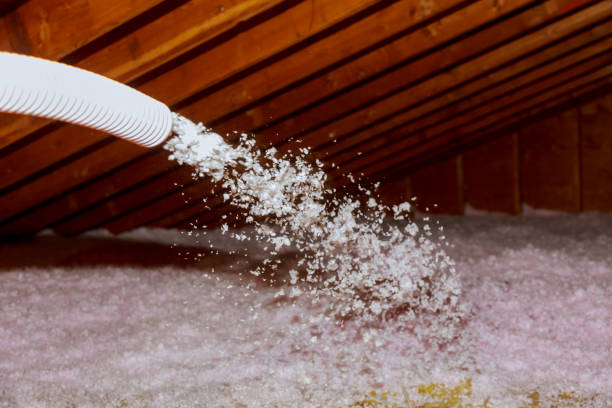 Best Insulation Maintenance and Repair in Biscoe, NC