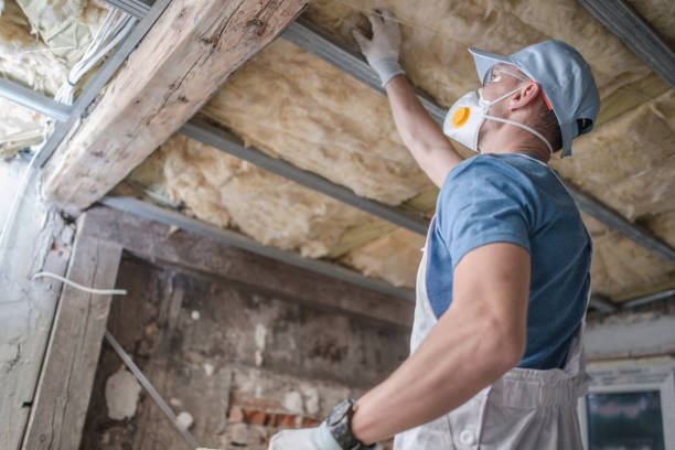 Best Residential Insulation in Biscoe, NC