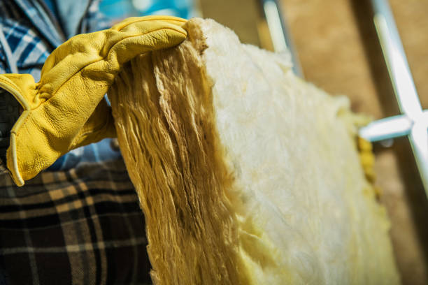 Professional Insulation Contractor in Biscoe, NC